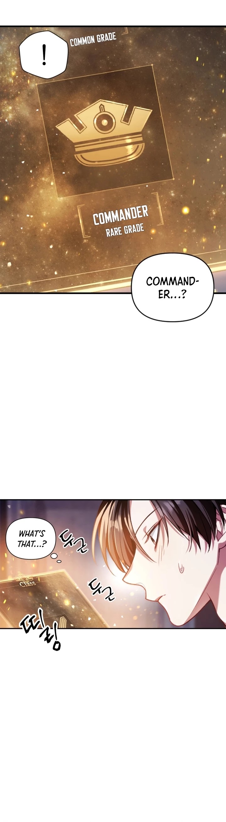 Regressor Instruction Manual Chapter 5 page 31 - Chapter 5