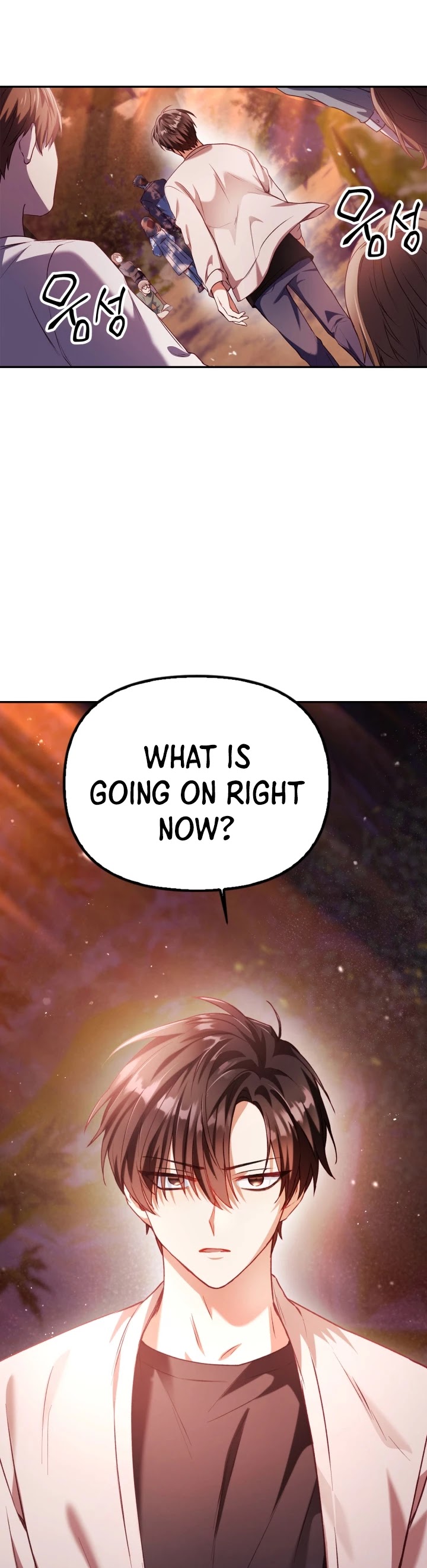 Regressor Instruction Manual Chapter 7 page 49 - Chapter 7