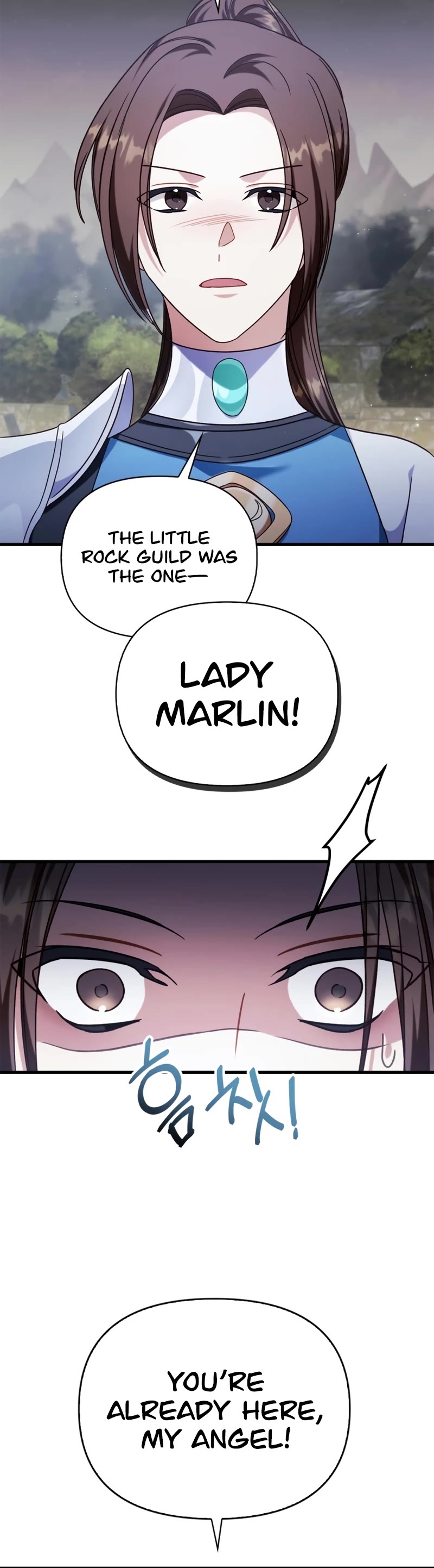 Regressor Instruction Manual Chapter 75 page 11 - Chapter 75