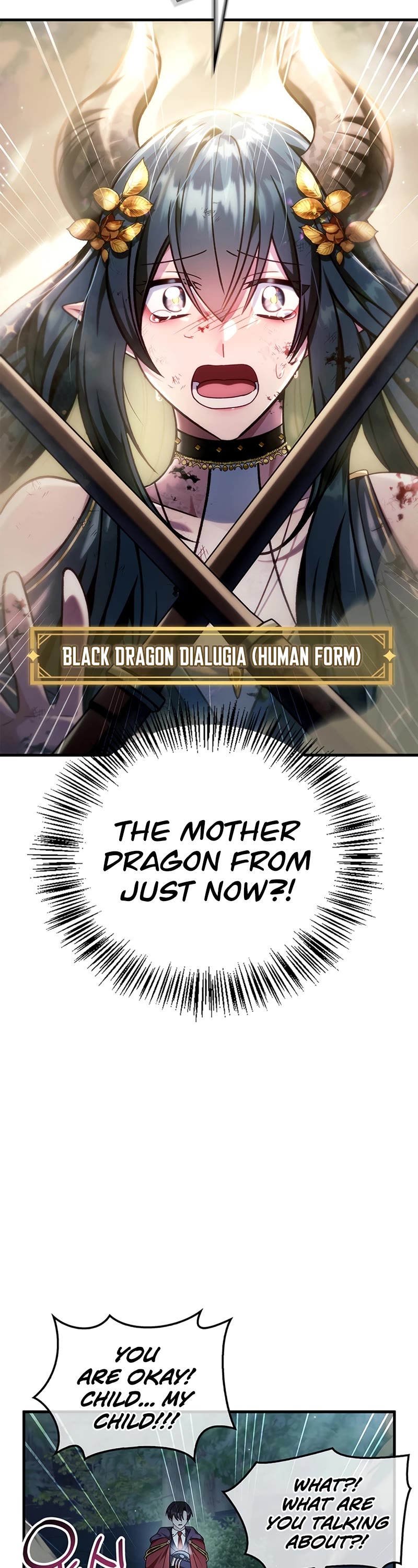 Regressor Instruction Manual Chapter 85 page 28 - Chapter 85