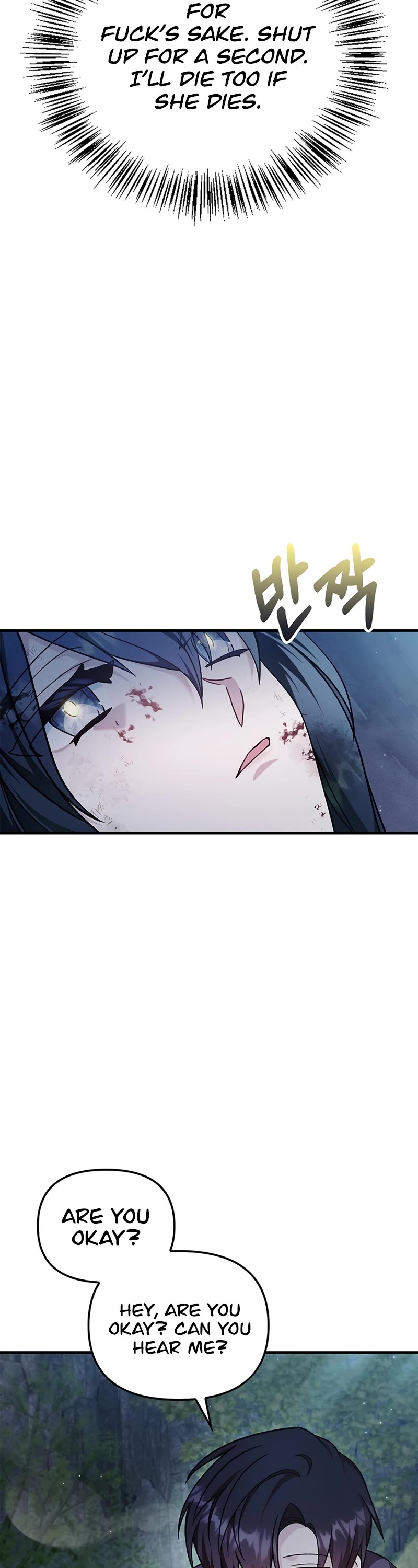 Regressor Instruction Manual Chapter 85 page 33 - Chapter 85