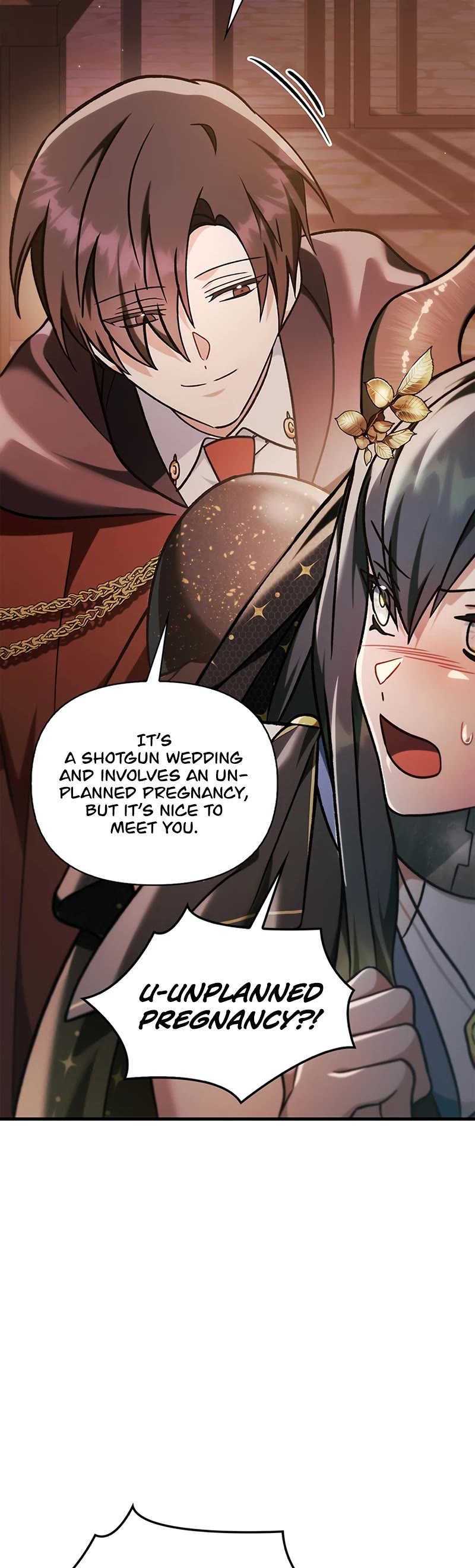 Regressor Instruction Manual Chapter 85 page 49 - Chapter 85