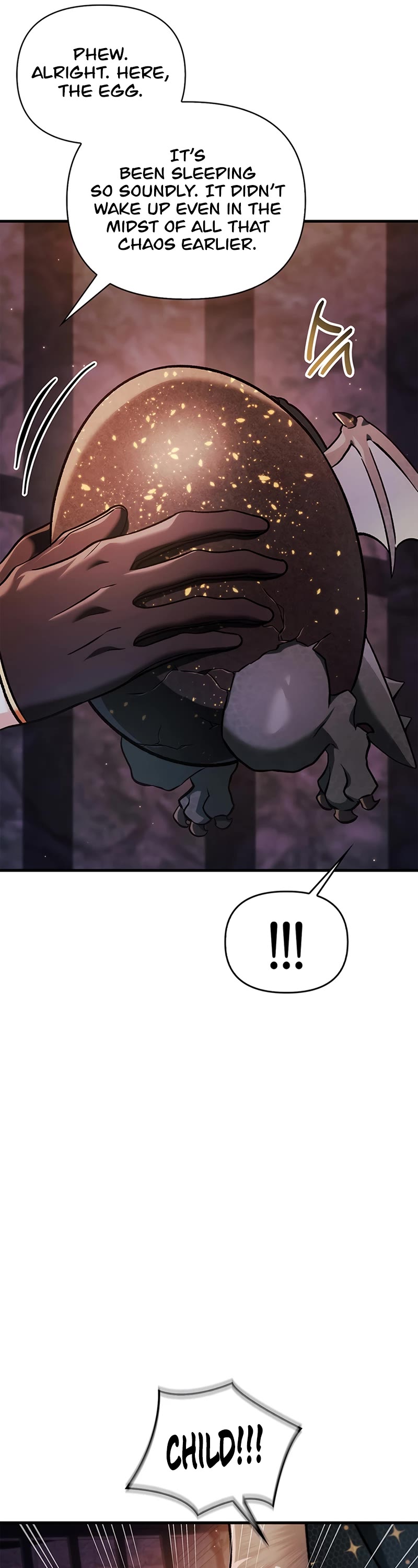 Regressor Instruction Manual Chapter 85 page 51 - Chapter 85