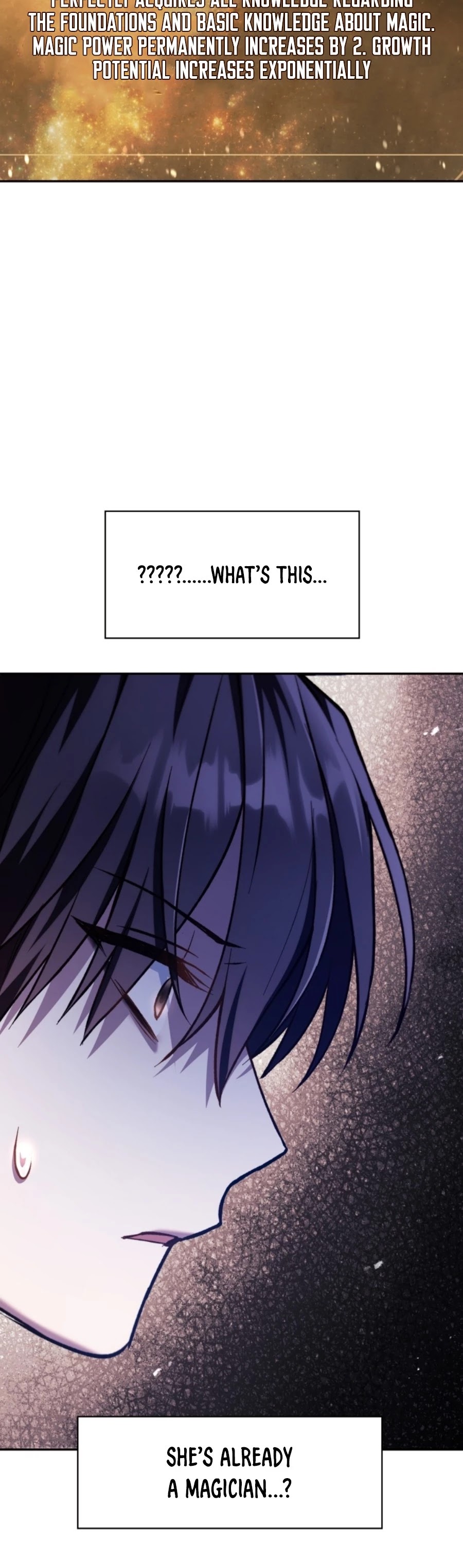 Regressor Instruction Manual Chapter 9 page 53 - Chapter 9