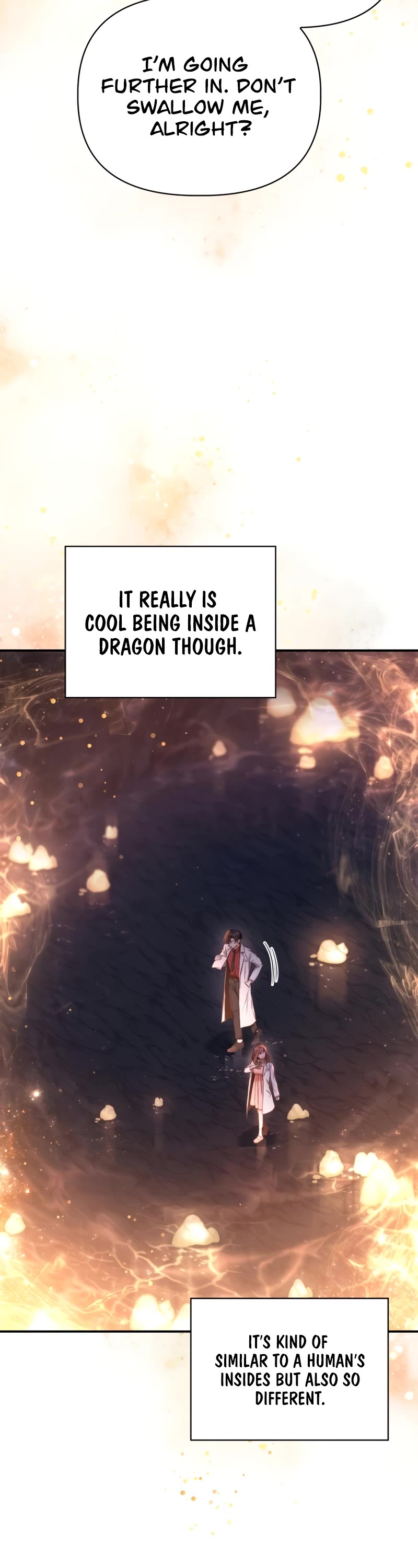 Regressor Instruction Manual Chapter 91 page 6 - Chapter 91