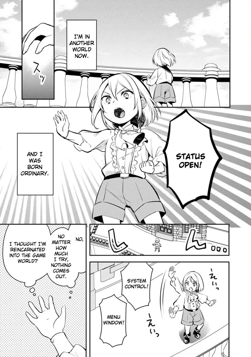 Reincarnated as a Villainess's Brother Chapter 1 page 11 - Chapter 1