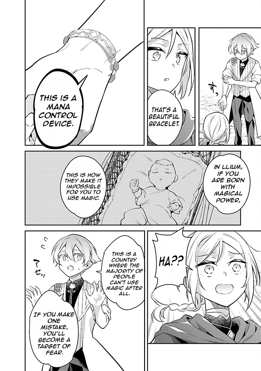 Reincarnated as a Villainess's Brother Chapter 24 page 29 - Chapter 24