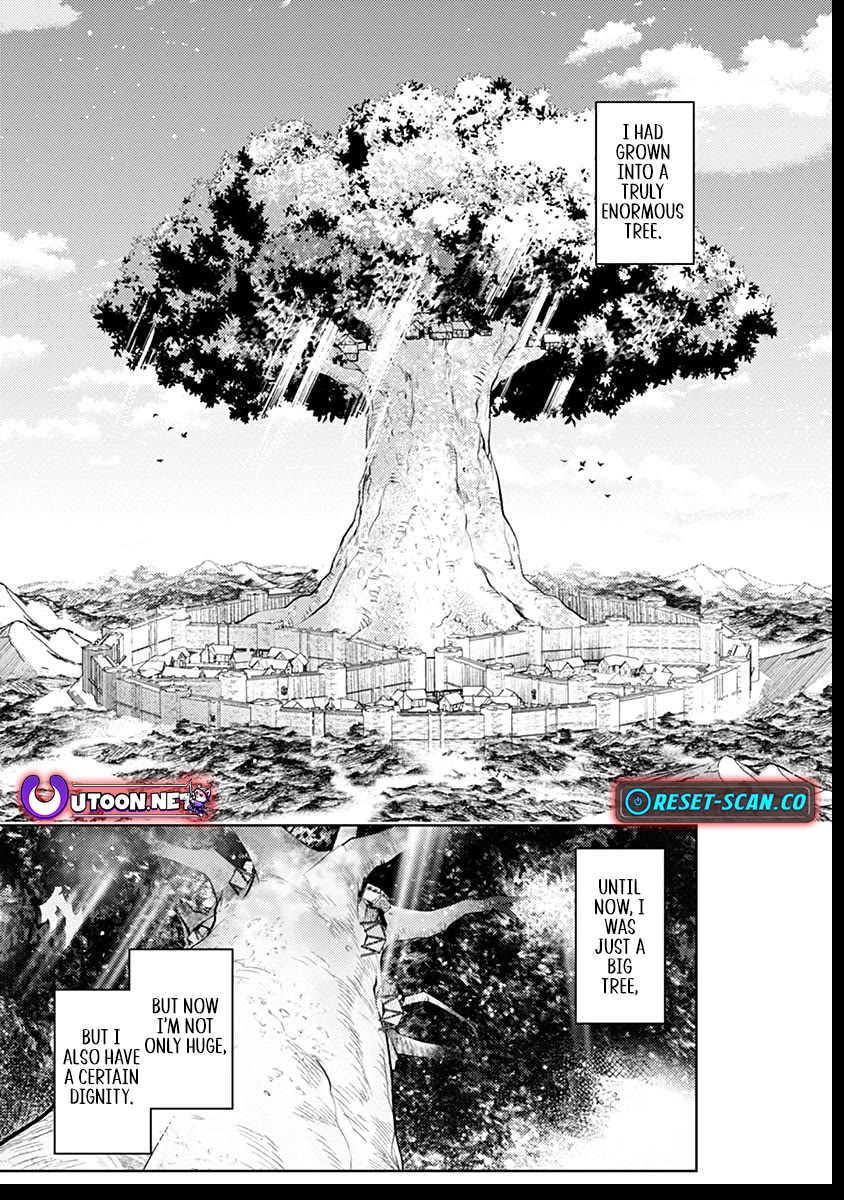 Reincarnated as the World Tree Chapter 5 page 40 - Chapter 5