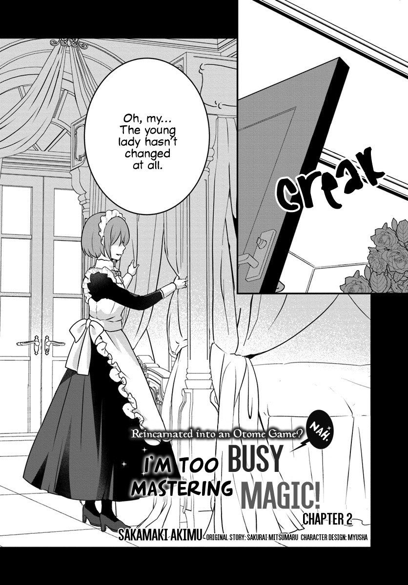 Reincarnated into an Otome Game? Nah, I'm Too Busy Mastering Magic! Chapter 2.1 page 4 - Chapter 2.1