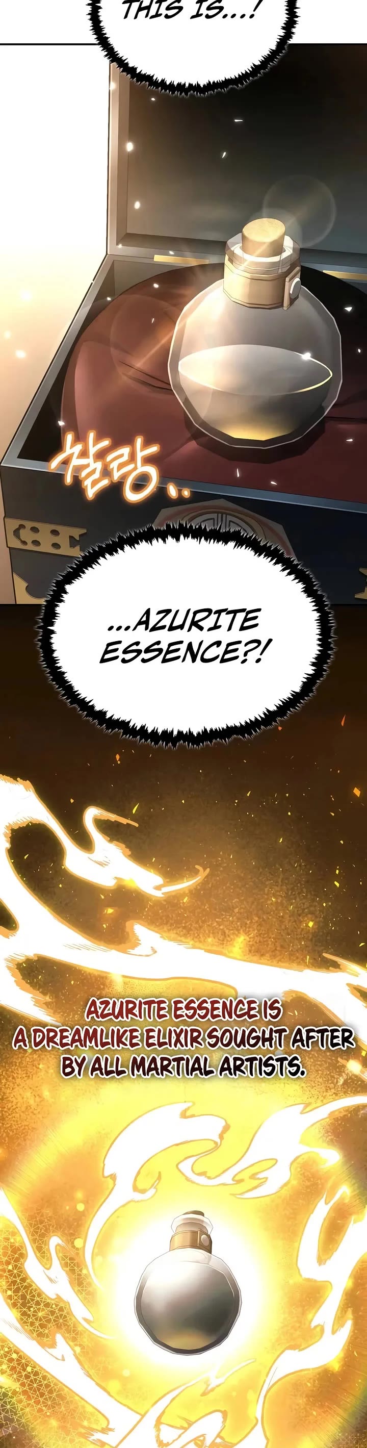 Reincarnation of the Fist King Chapter 11 page 28 - Chapter 11