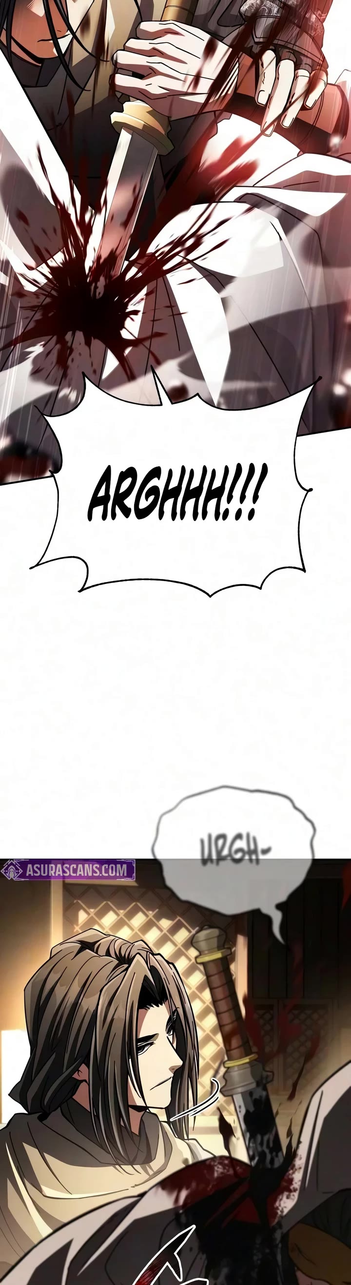 Reincarnation of the Fist King Chapter 60 page 15 - Chapter 60