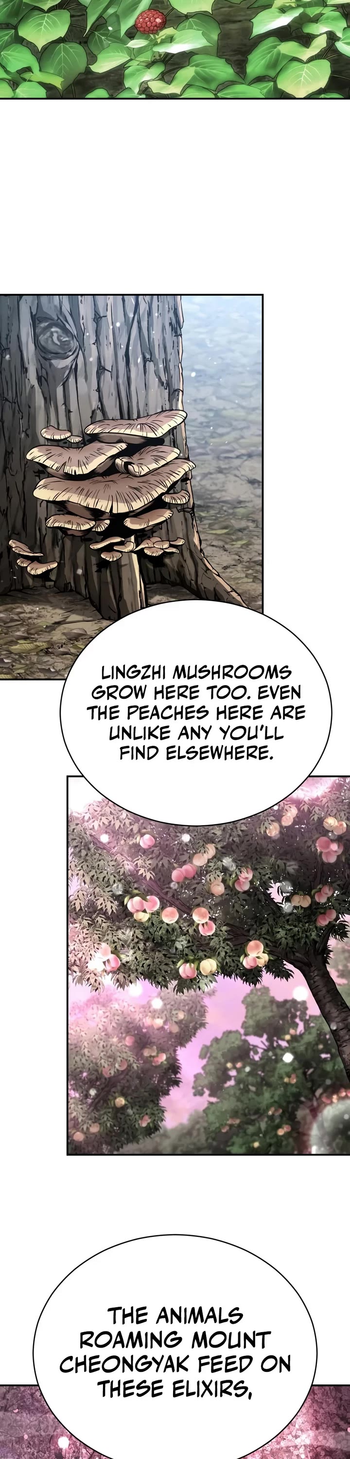 Reincarnation of the Fist King Chapter 63 page 34 - Chapter 63: The Fist King Meets the Mad God (4)