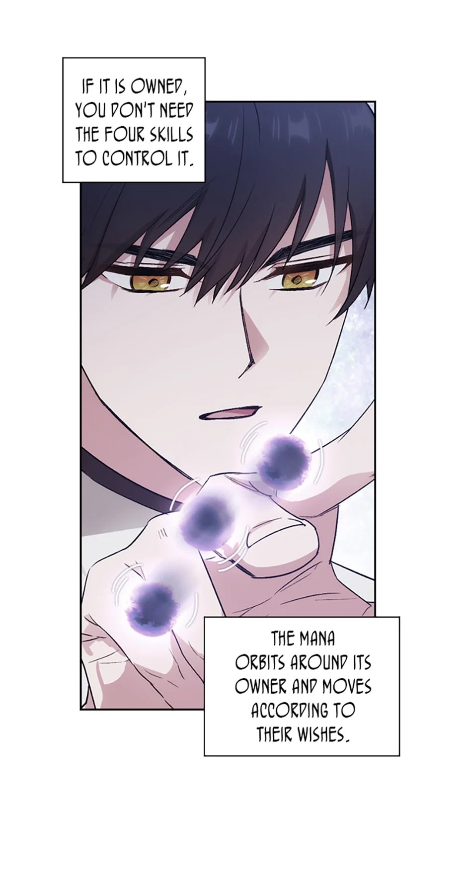 Reminiscence Adonis Chapter 130 page 19 - Chapter 130: Mana Control