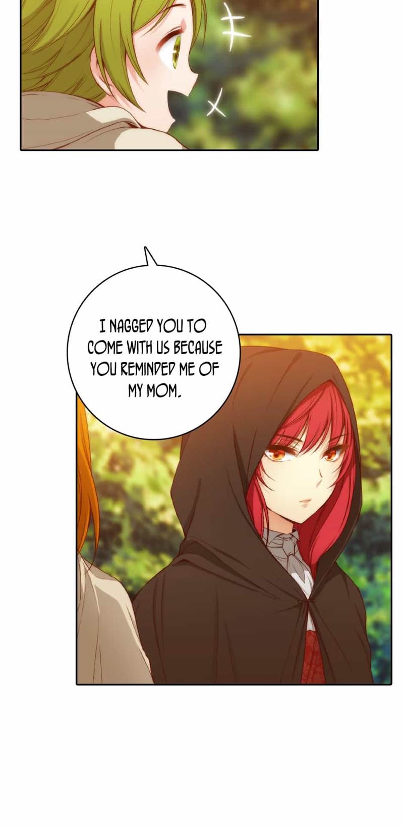 Reminiscence Adonis Chapter 30 page 29 - Chapter 30: Fynn