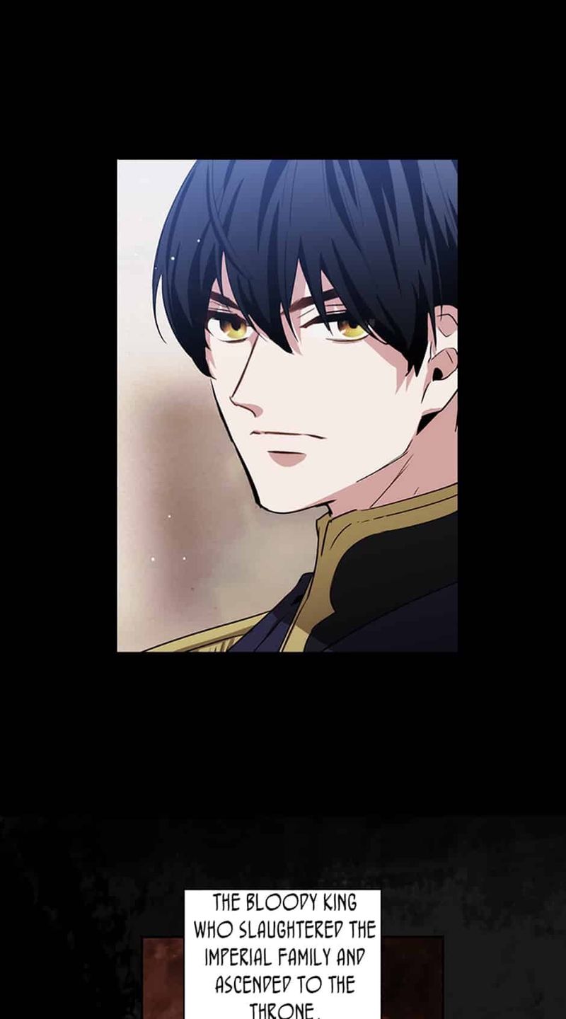 Reminiscence Adonis Chapter 68 page 34 - Chapter 68: I'll be your Knight