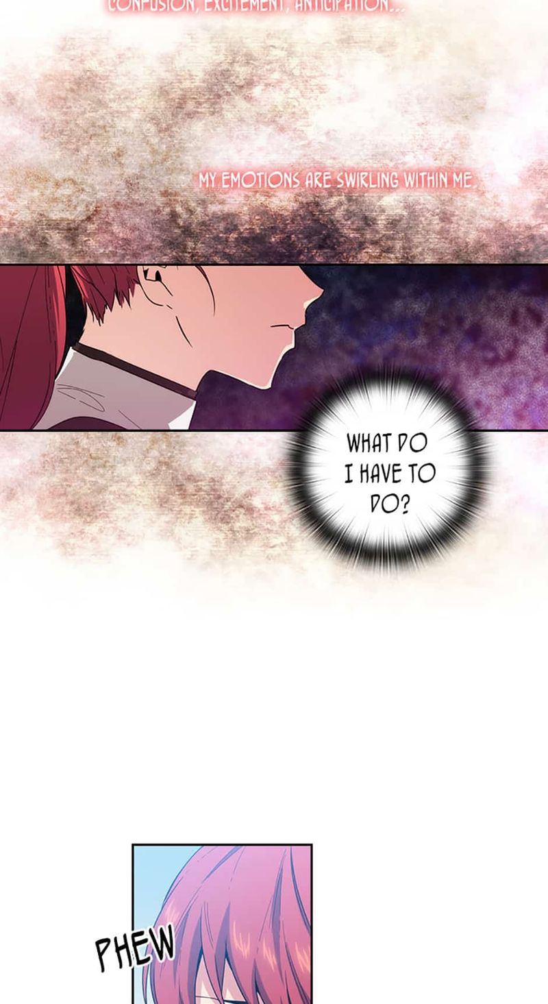 Reminiscence Adonis Chapter 69 page 39 - Chapter 69: No One Could Understand