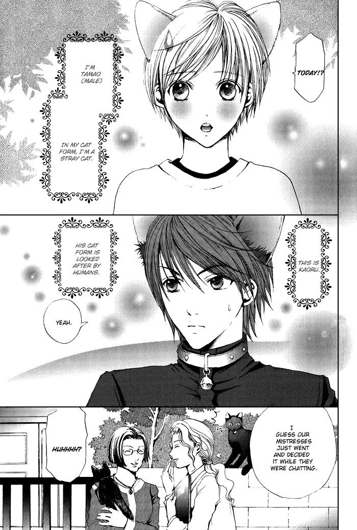 Renai Patisserie Chapter 7 page 5 - Chapter 7