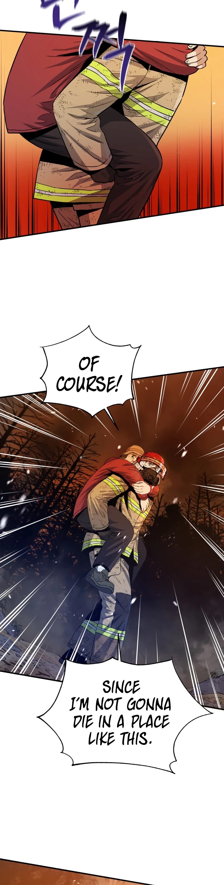 Rescue System Chapter 13 page 38 - Chapter 13