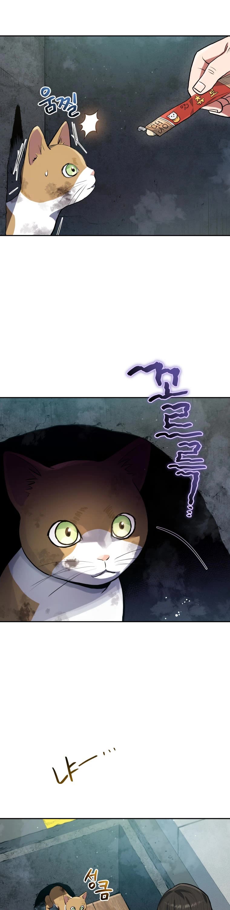 Rescue System Chapter 37 page 31 - Chapter 37