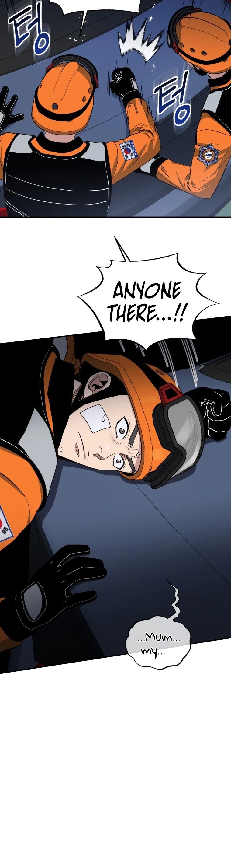 Rescue System Chapter 8 page 49 - Chapter 8