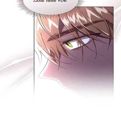 Resetting Lady Chapter 59 cover