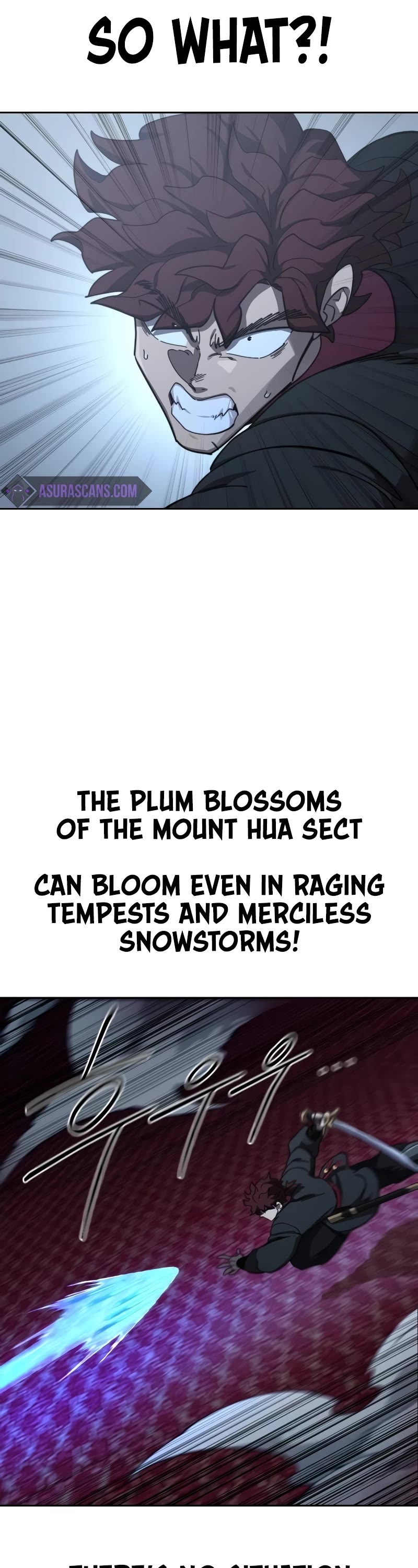 Return of the Mount Hua Sect Chapter 125 page 14 - Chapter 125