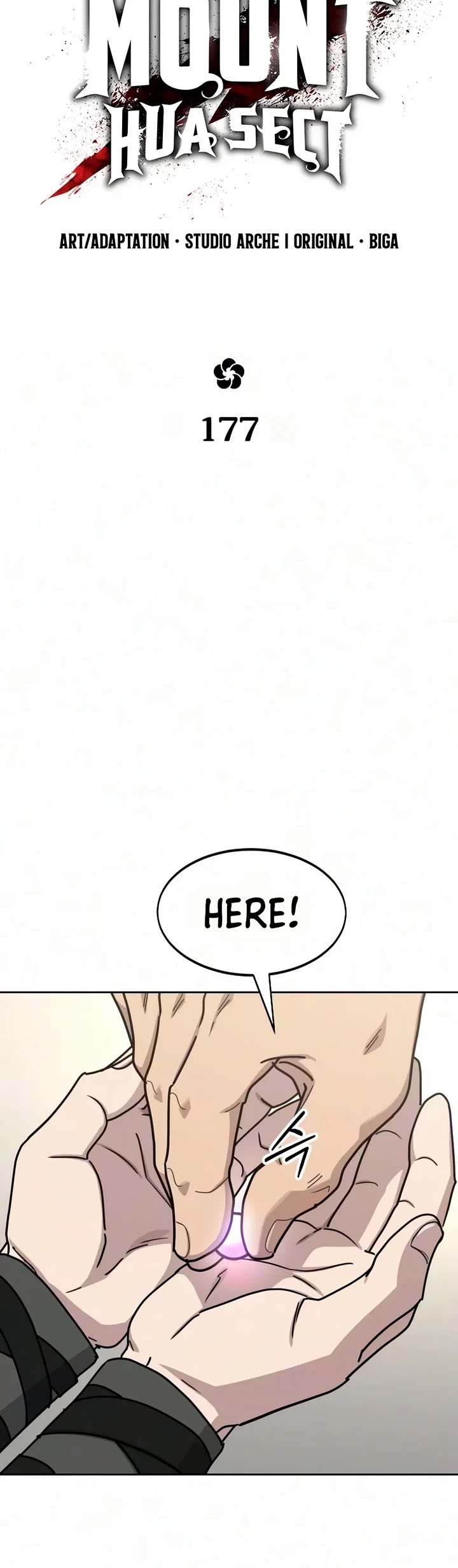 Return of the Mount Hua Sect Chapter 177 page 15 - Chapter 177