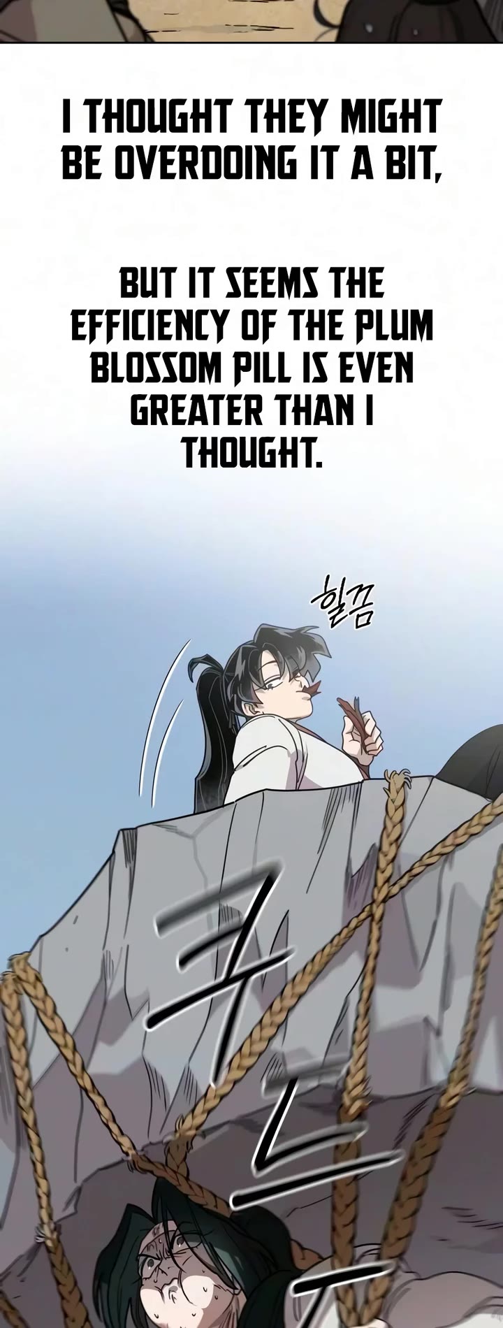 Return of the Mount Hua Sect Chapter 178 page 17 - Chapter 178