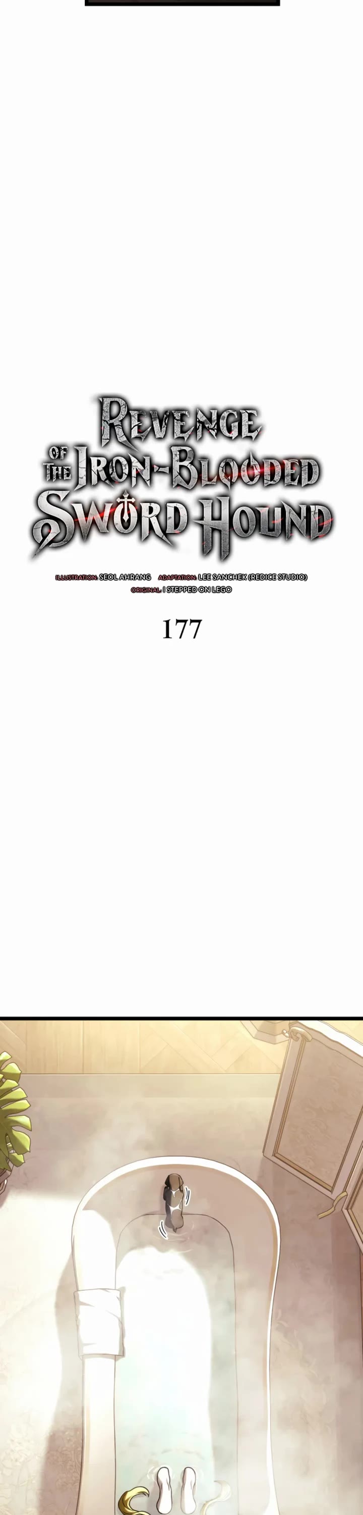 Revenge of the Sword Clan's Hound Chapter 177 page 17 - Chapter 177