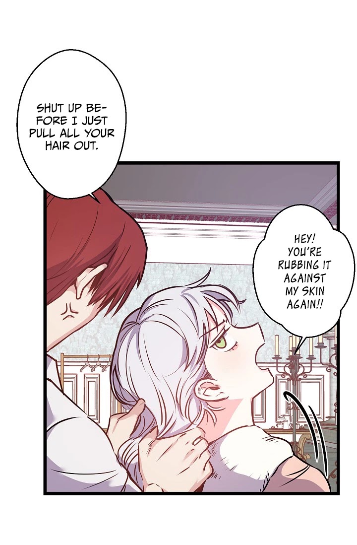 Revenge Wedding Chapter 12 page 6 - Chapter 12