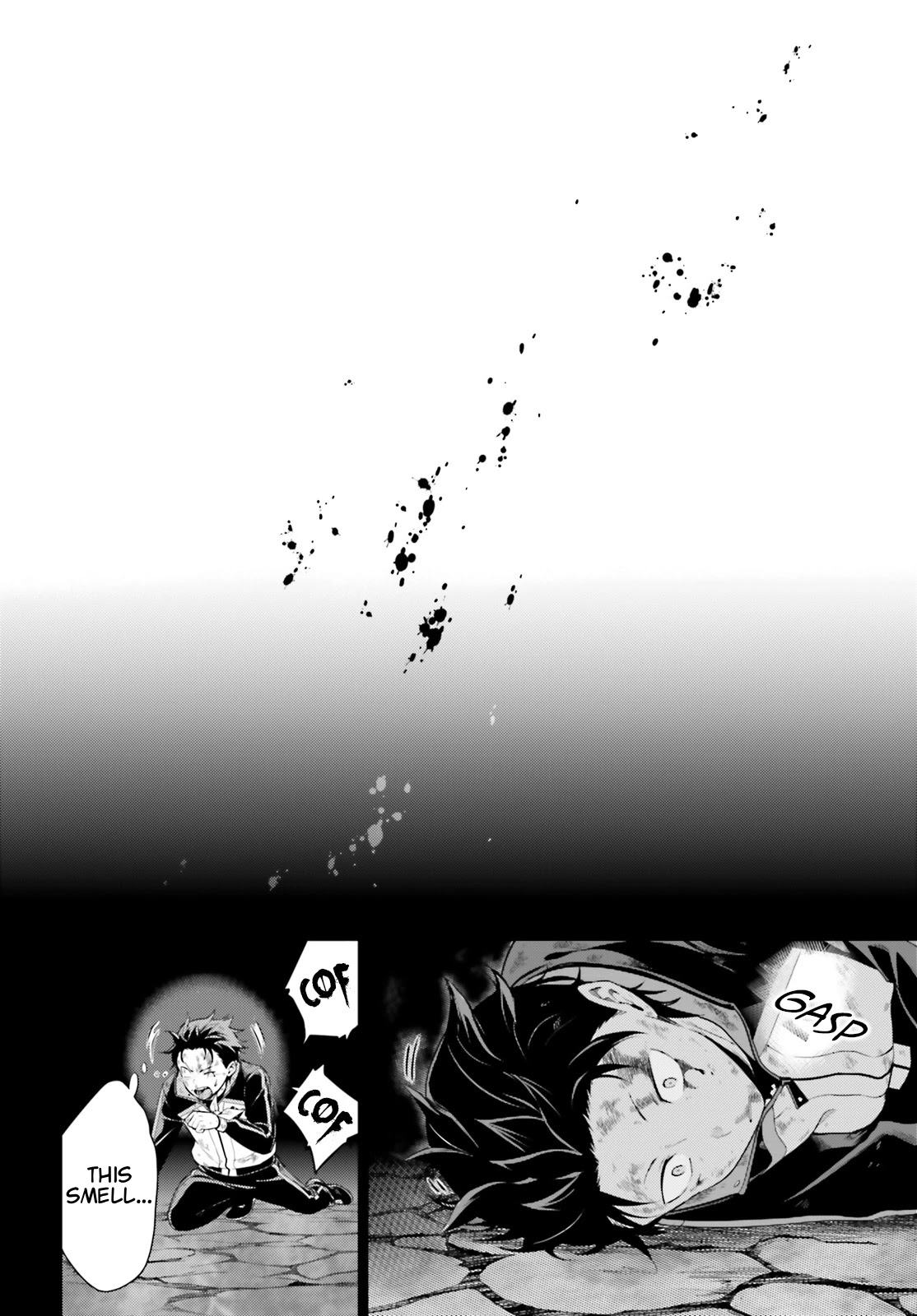 Re:Zero Kara Hajimeru Isekai Seikatsu Dai 4-shou - Seiiki to Gouyoku no Majo Chapter 20 page 13 - Chapter 20: Tiger