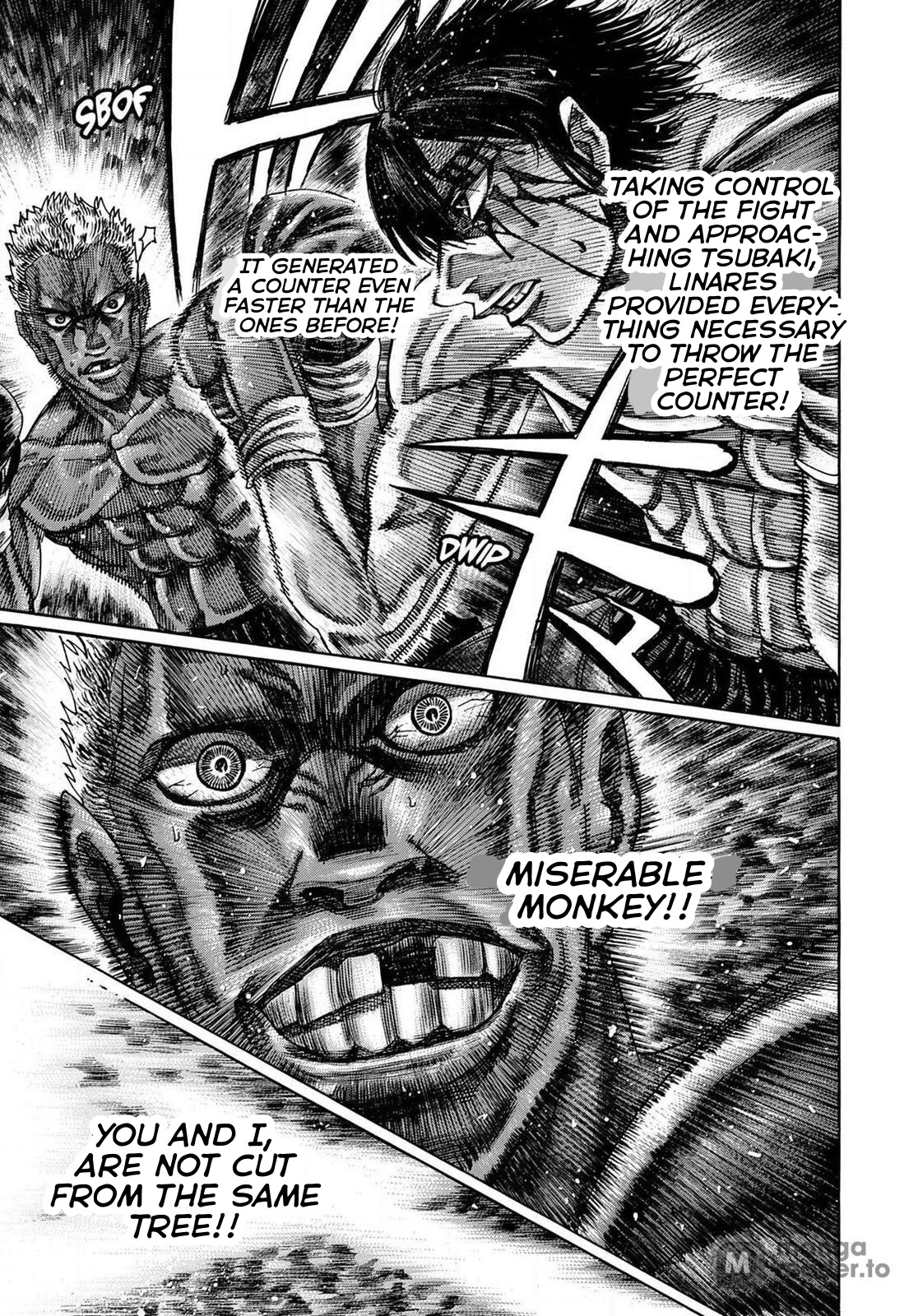 RIKUDOU Chapter 161 page 8 - Chapter 161: My Limits