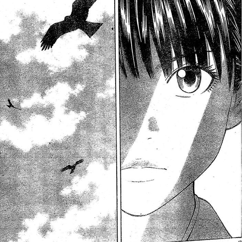 Rin (HAROLD Sakuishi) Chapter 21 cover