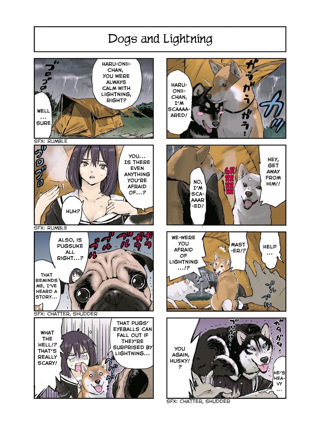 Roaming The Apocalypse With My Shiba Inu Chapter 15 page 3 - Chapter 15