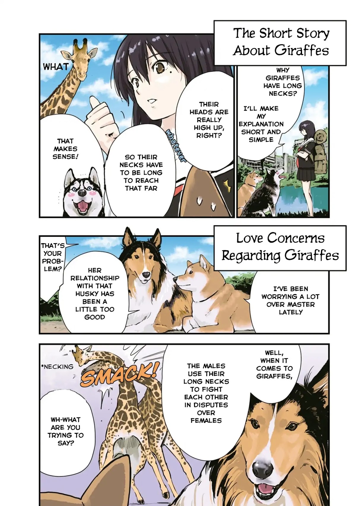 Roaming The Apocalypse With My Shiba Inu Chapter 26 page 5 - Chapter 26