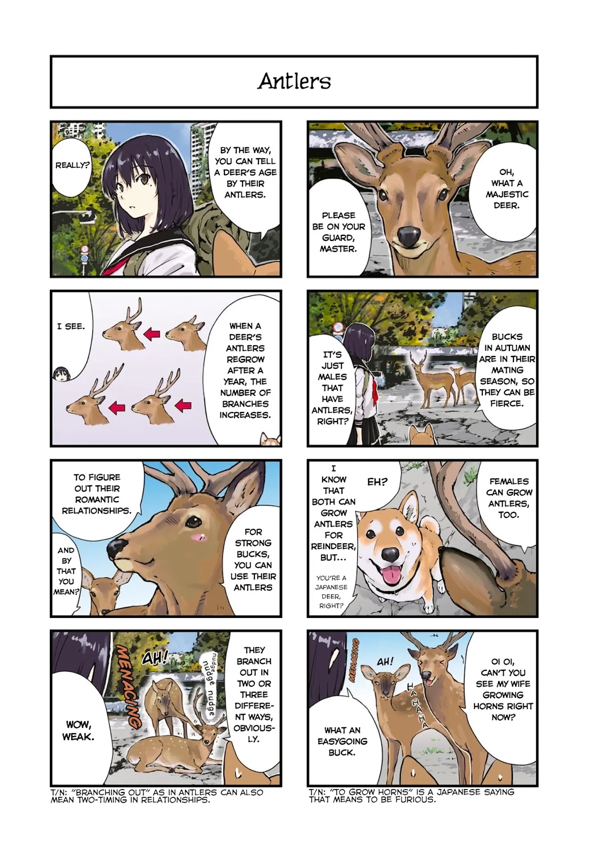 Roaming The Apocalypse With My Shiba Inu Chapter 28 page 2 - Chapter 28