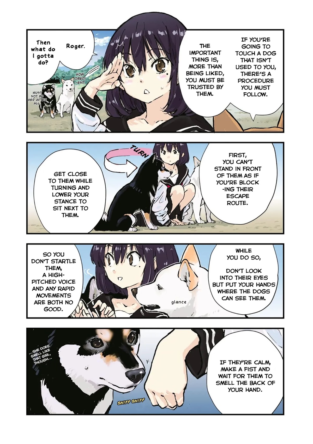 Roaming The Apocalypse With My Shiba Inu Chapter 29 page 6 - Chapter 29