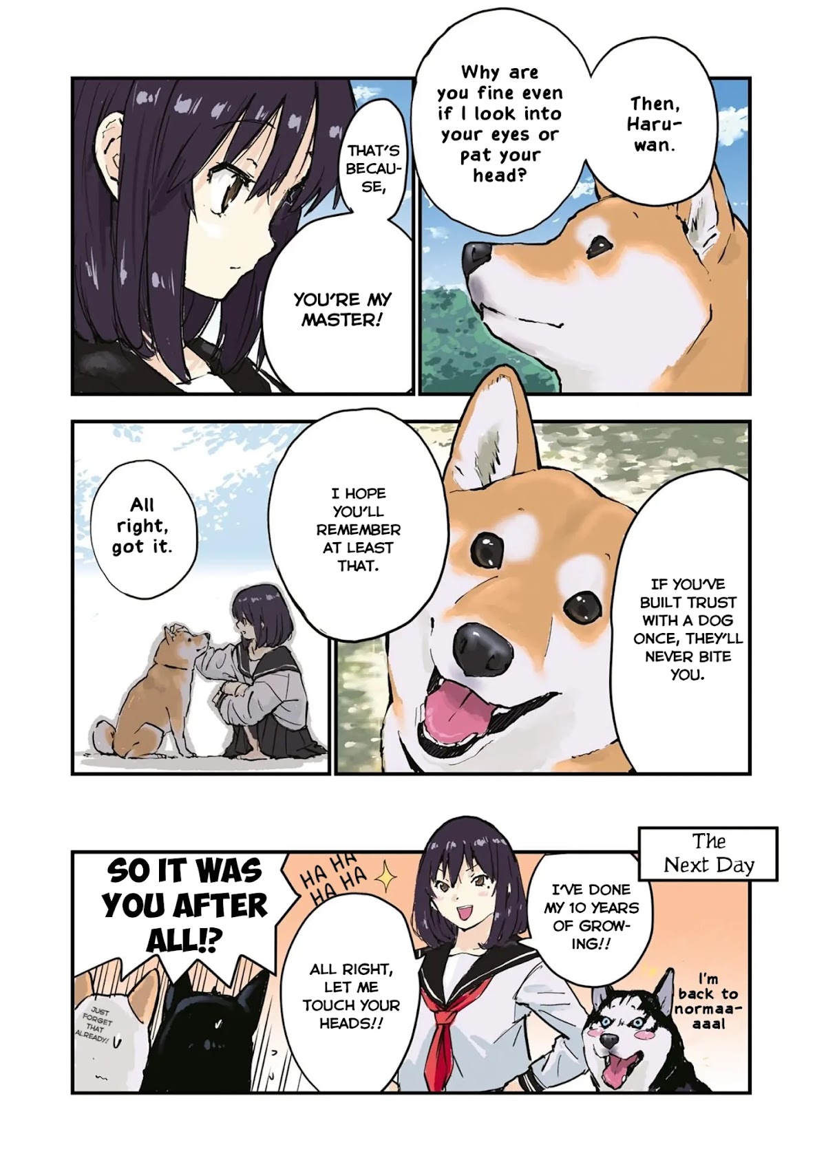 Roaming The Apocalypse With My Shiba Inu Chapter 29 page 8 - Chapter 29