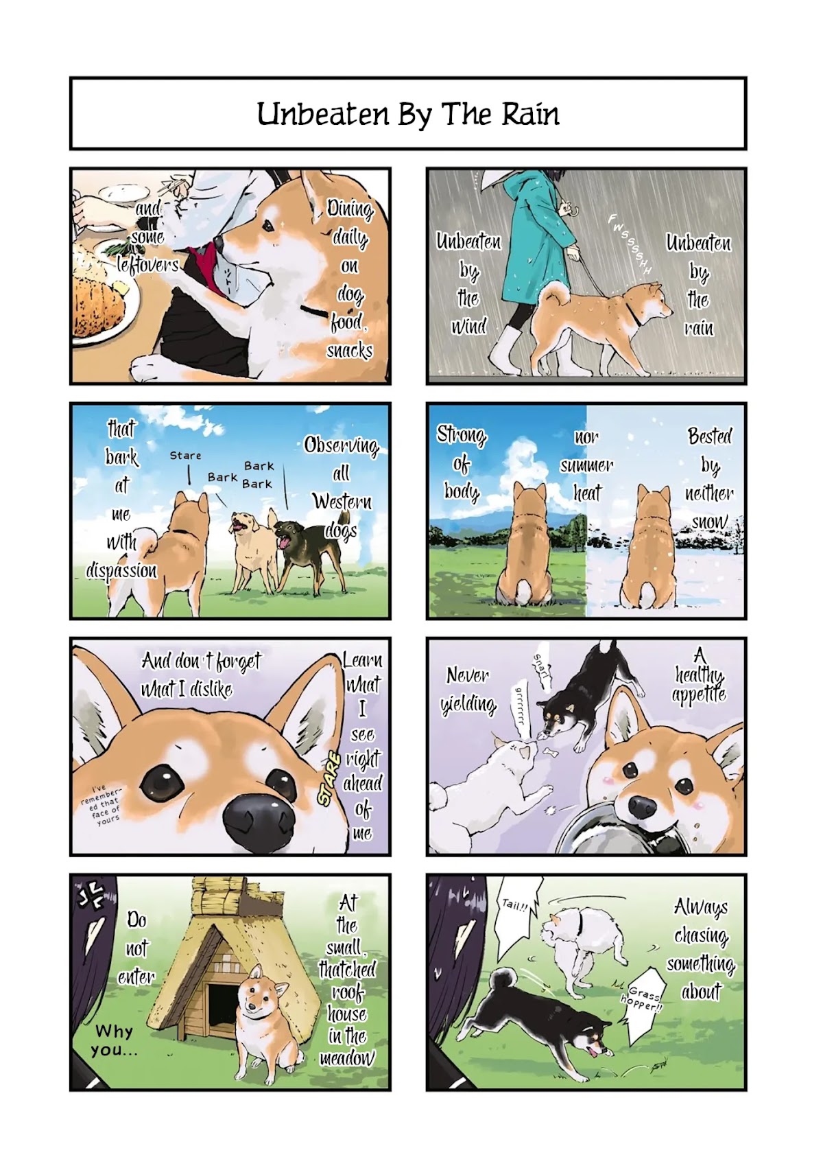 Roaming The Apocalypse With My Shiba Inu Chapter 32 page 9 - Chapter 32