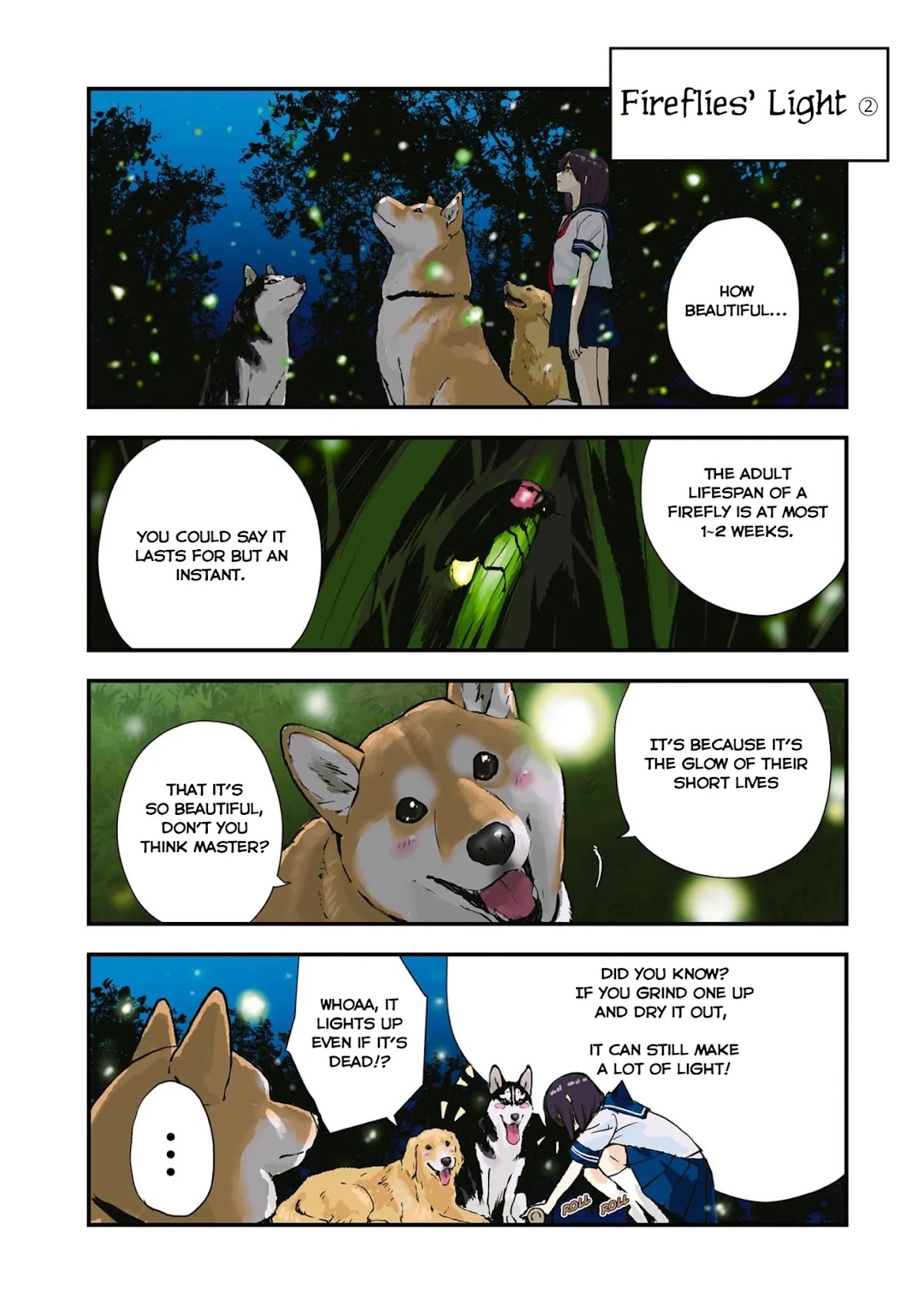 Roaming The Apocalypse With My Shiba Inu Chapter 35 page 9 - Chapter 35