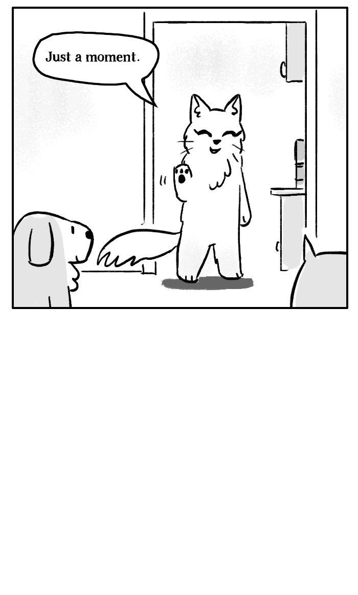 Roar Street Journal Chapter 116 page 5 - Chapter 116 : New Cat on the Block