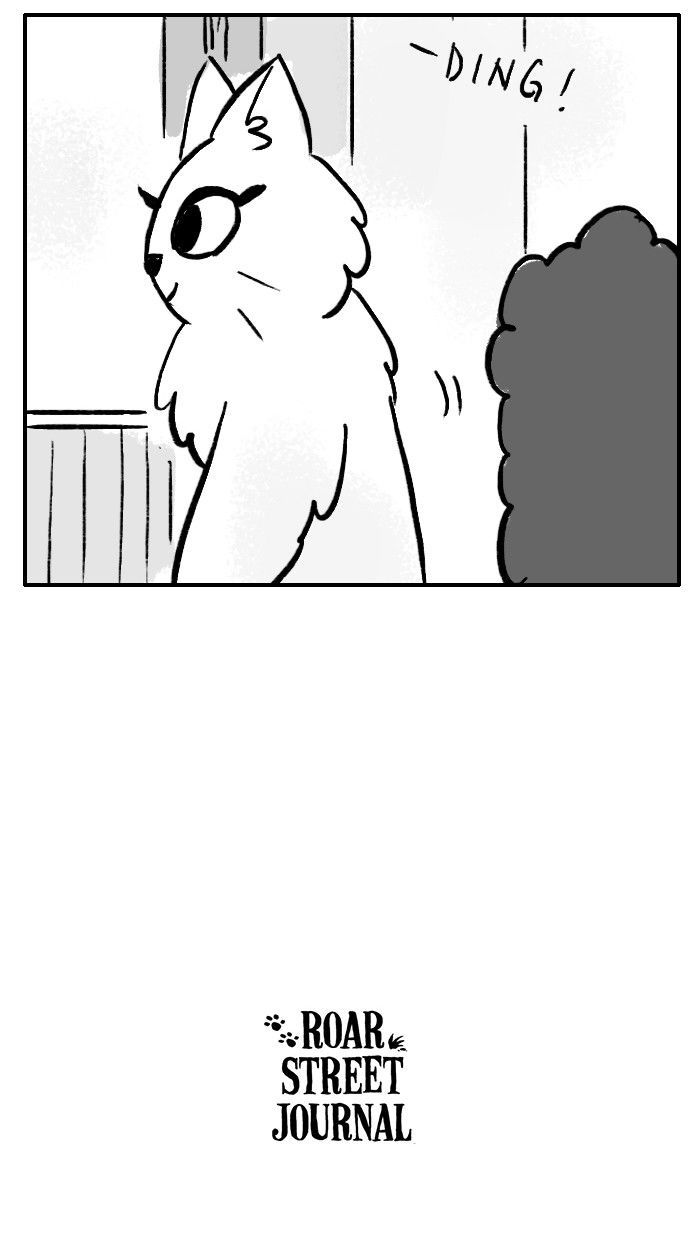 Roar Street Journal Chapter 118 page 56 - Chapter 118 : The Missing File