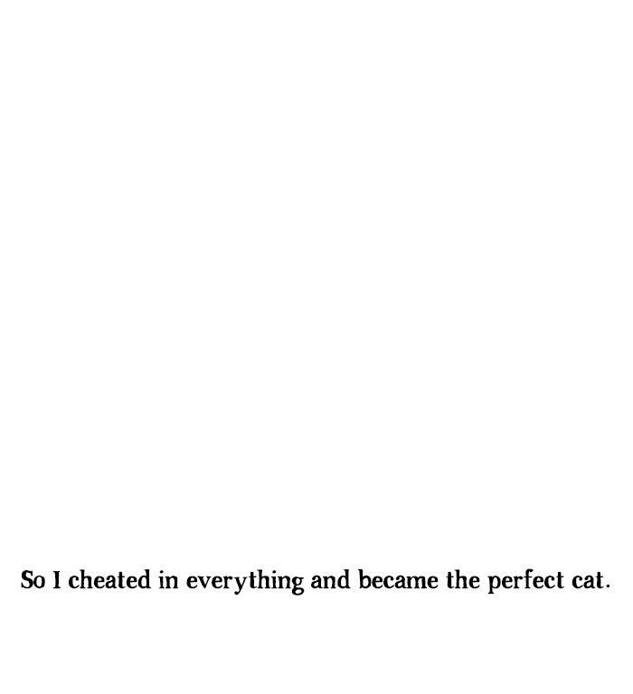 Roar Street Journal Chapter 120 page 34 - Chapter 120 : The Perfect Cat