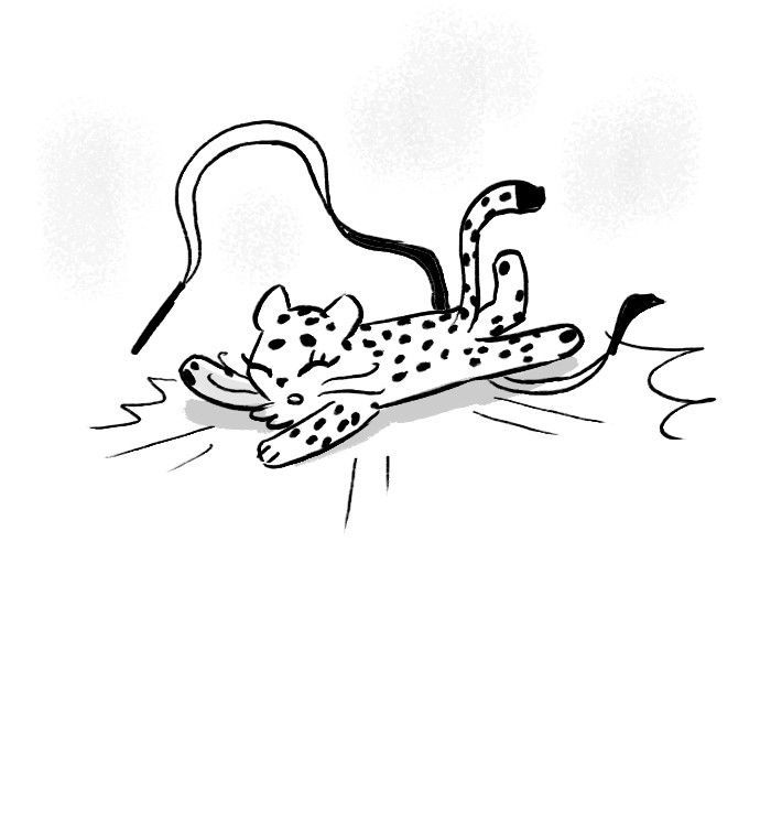 Roar Street Journal Chapter 120 page 47 - Chapter 120 : The Perfect Cat
