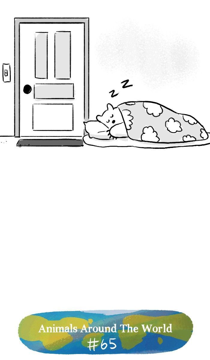 Roar Street Journal Chapter 127 page 50 - Chapter 127 : Polar Bear Makeover
