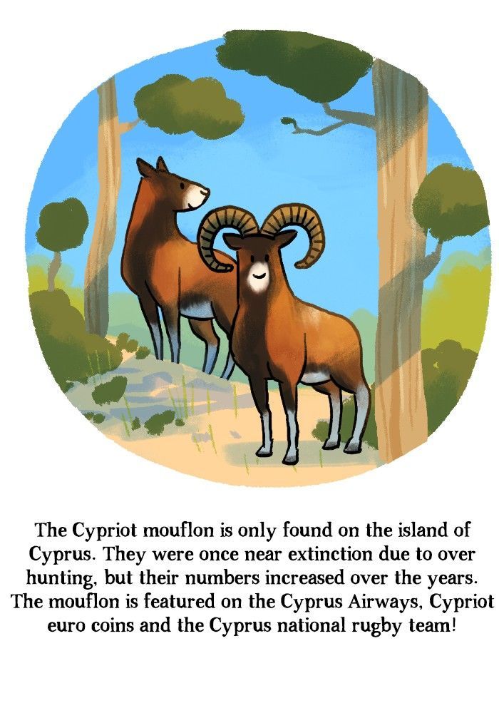 Roar Street Journal Chapter 135 page 30 - Chapter 135 : Classification of Everything