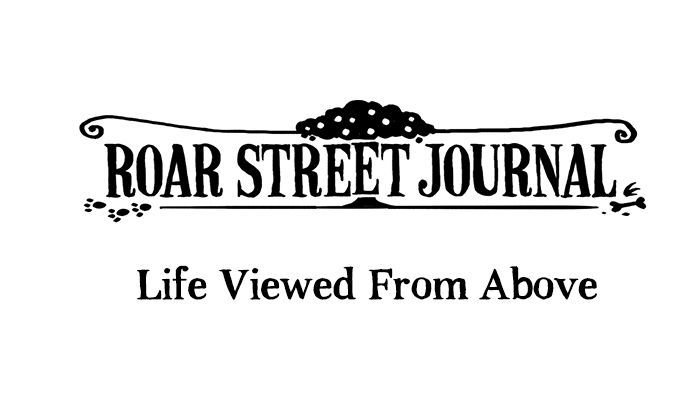 Roar Street Journal Chapter 3 page 1 - Chapter 3 : Life Viewed from Above
