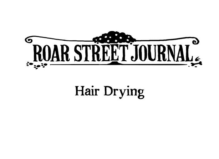 Roar Street Journal Chapter 7 page 1 - Chapter 7 : Hair Drying