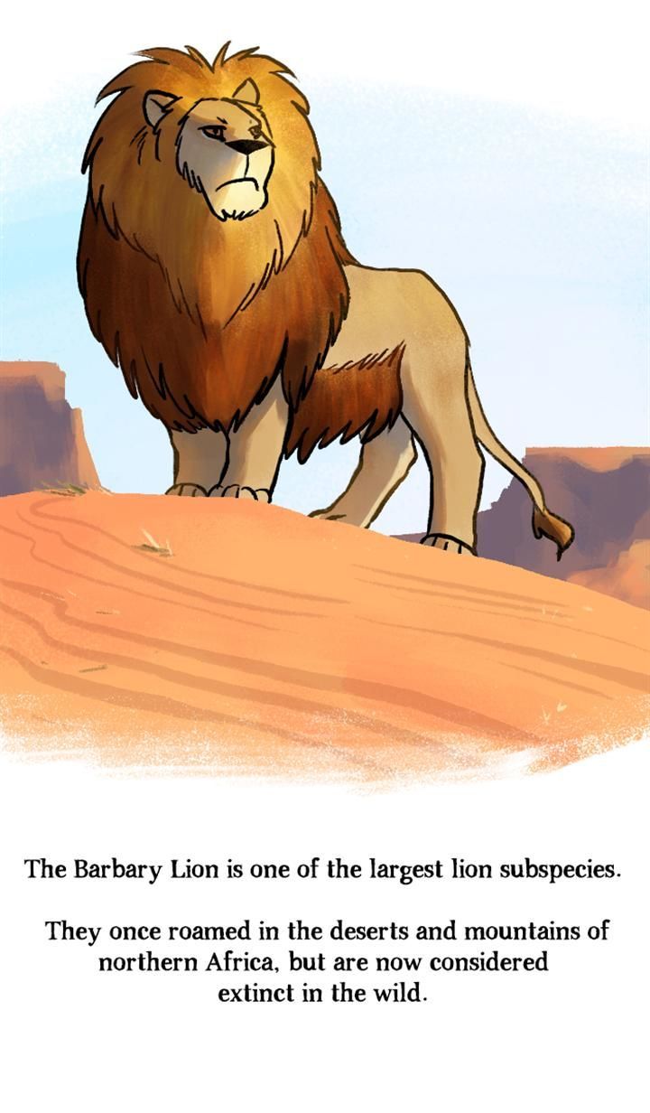 Roar Street Journal Chapter 71 page 27 - Chapter 71