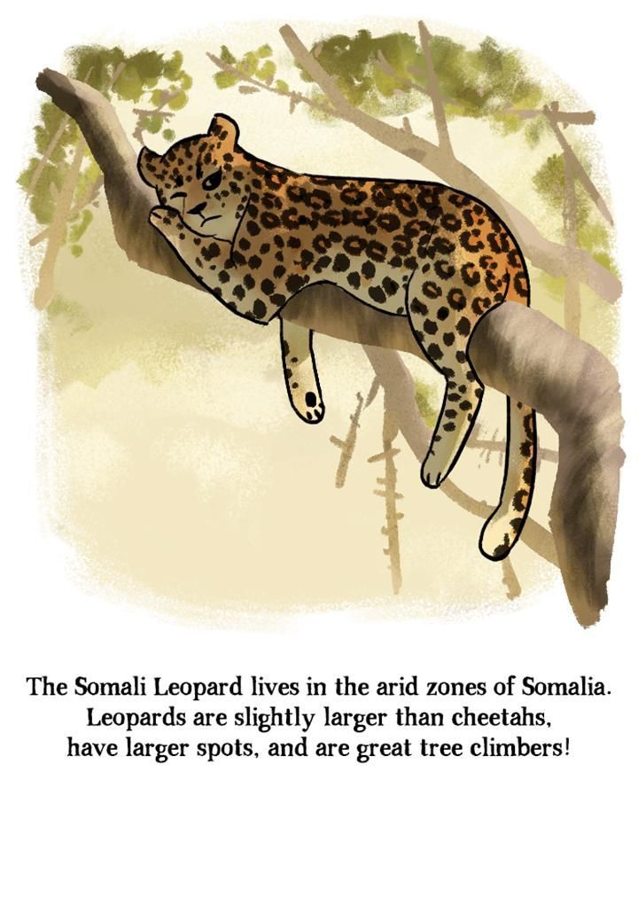 Roar Street Journal Chapter 75 page 28 - Chapter 75